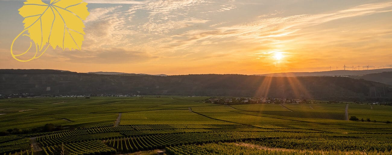 Mosel bei Köwerich | Weingut Winnebeck